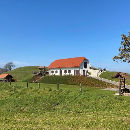 Tourist Farm Artisek Villa Store Eksteriør billede